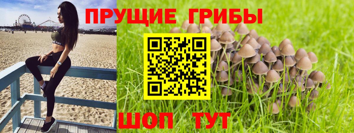 цена наркотик  Псилоцибиновые грибы MAGIC MUSHROOMS  Вход с VPN  Кумертау 