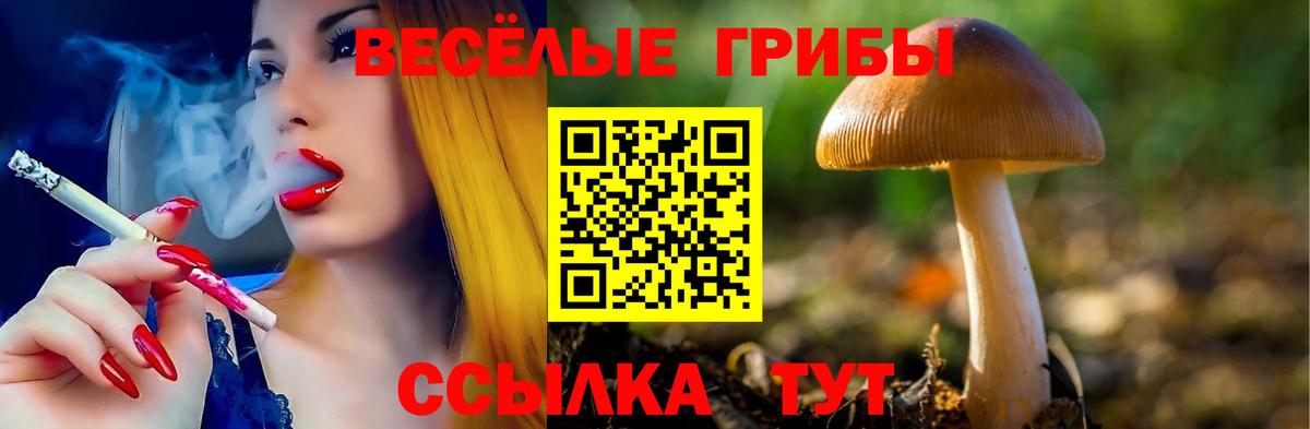 Псилоцибиновые грибы GOLDEN TEACHER Кумертау